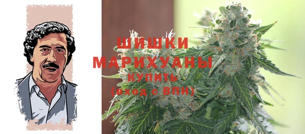 гидропоника Горнозаводск