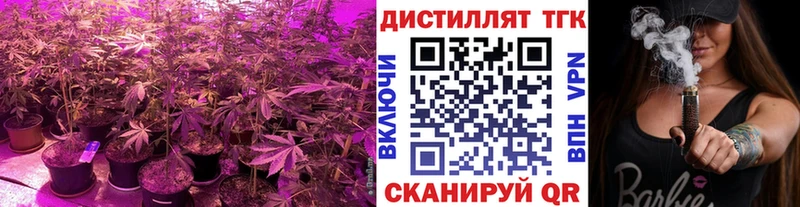 ТГК THC oil  даркнет сайт  mega tor  Звенигово 