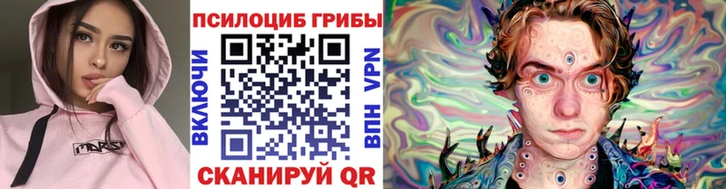 Псилоцибиновые грибы Psilocybe  Звенигово 